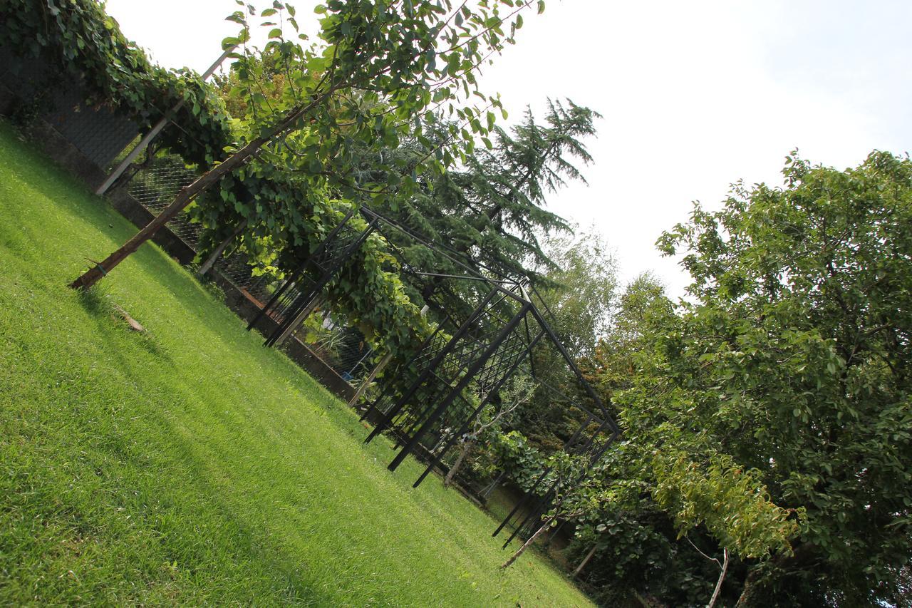 Bed and Breakfast Casa Pellis Fagagna Exterior foto